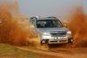 Subaru Forester � Gewachsener Waldfex